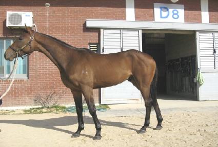 �������� ����