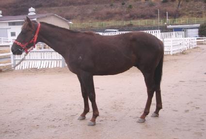 ������ ����