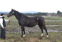 �������ݸ� (AU CHOCOLAT) ����