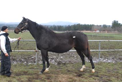 �������ݸ� ����