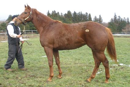 ����ŰƼ ����