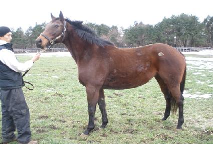 ����Ƽ�꺧 ����