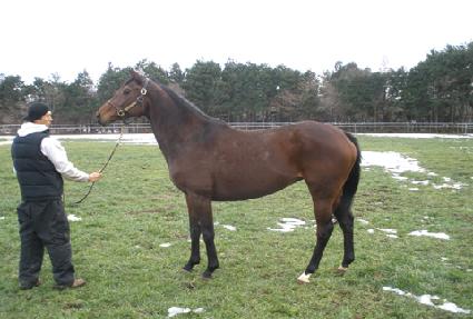 �ø�Ŀ ����