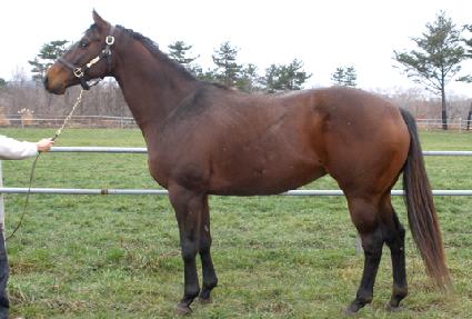 ���н� ����