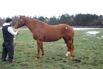 ���и� ����