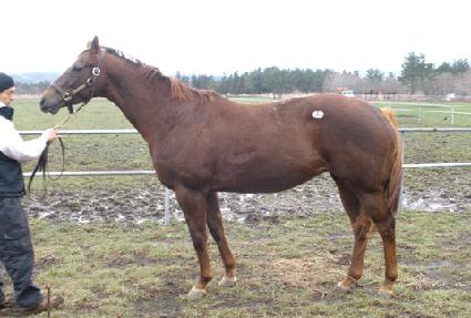 Ĺ��ġ ����