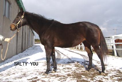 ��Ƽ�� ����