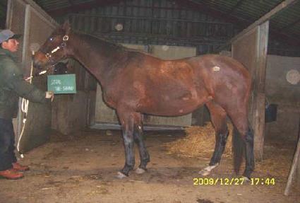 ��ƿ���� ����