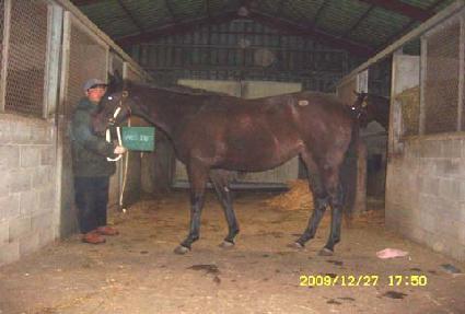 �̽����� ����