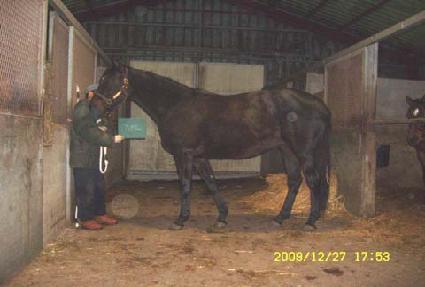 ǻ�� ����