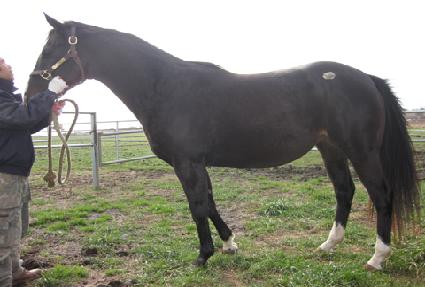 ���׿��� ����