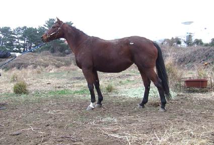 �����ϵ�����Ʈ ����