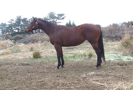 ��Ŀ�ֹ̻��� ����