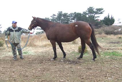 �ø�ī ����