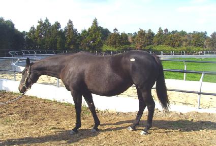 ��Ż���� ����