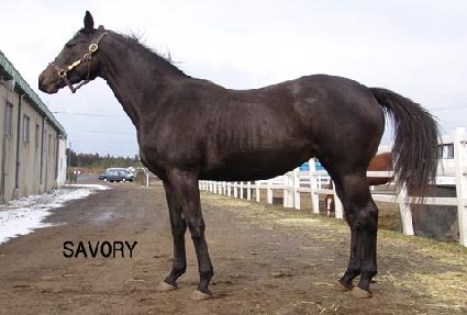 ���̹��� ����