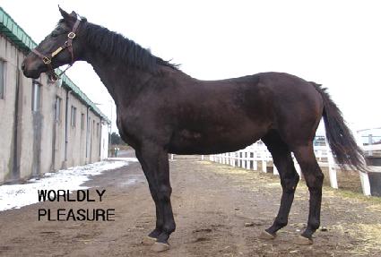 ���鸮�÷��� ����