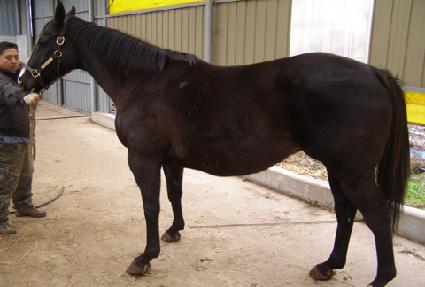 ī�纸��ī ����