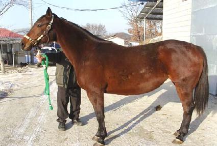 �÷��ù��� ����