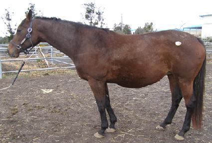 ������ε� ����