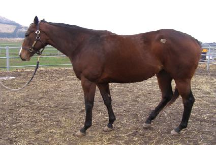 ���ù̼����� ����