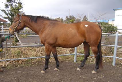 ���̽��� ����