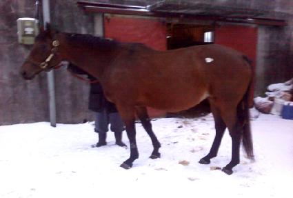 Ʈ������ ����