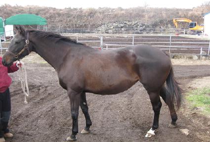 �̽��Ϻ긮�� ����