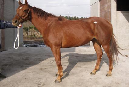 ����Ʈũ���� ����