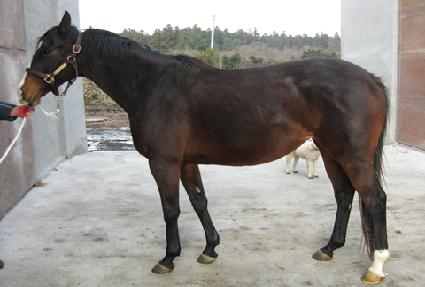 �ν�Ʈ������ ����