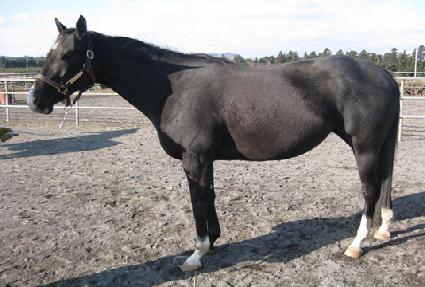 ���ϵ巯��ũ�� ����