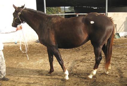 ����Ʈ����Ʈ ����