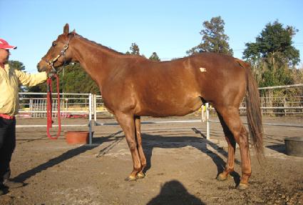 ����ó�� ����