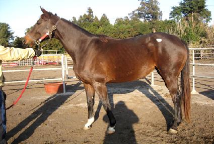 ����ǵ� ����