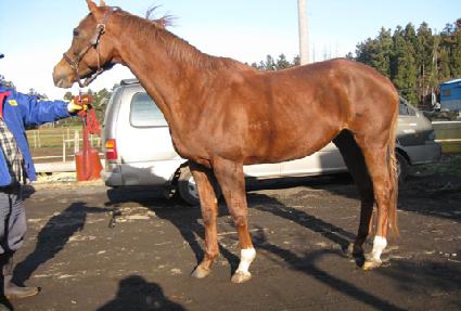 ȭ�̳ξ����ʹ� ����