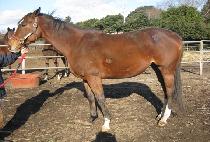 �ͽ�����Ʈ (EXPECTANT) ����