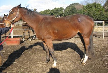 �ͽ�����Ʈ ����