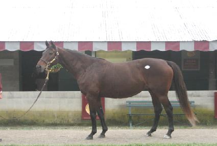 ȭ�̳θ�ε� ����