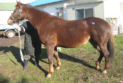 ���̺�� ����