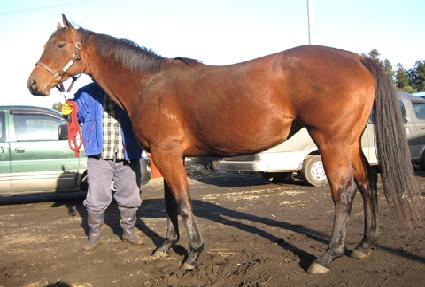 ����Ʈ�޸�Ƽ ����