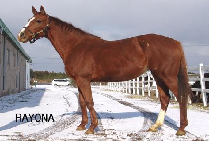 ���䳪 ����