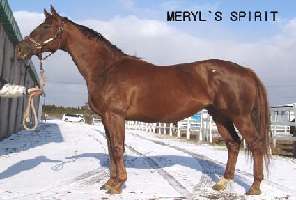 �޸���Ǹ� ����