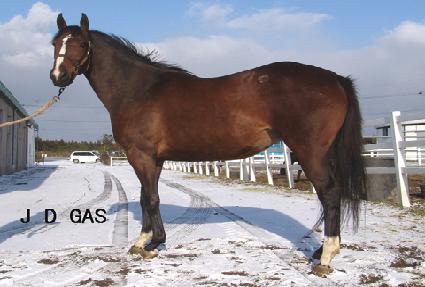 ���̵𰡽� ����