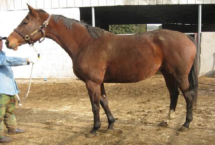 ���̵������ ����