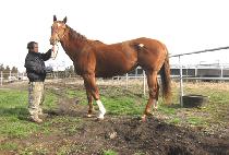 �ù�ư (SEA BUTTON) ����