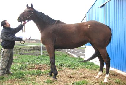 �ڷν� ����