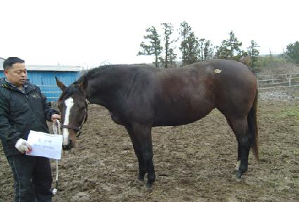 �ֽǹ� ����