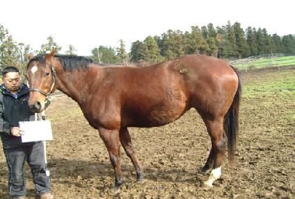 ������� ����