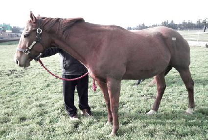 ŵ��Ĺ ����