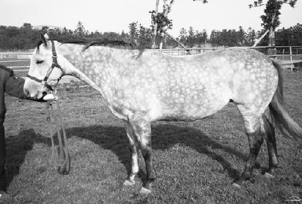 �̽������� ����